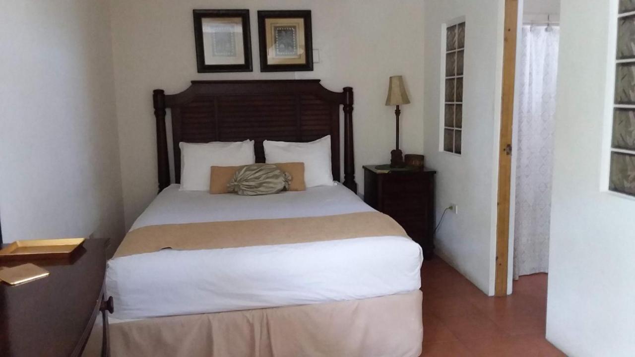 Casa De Tortuga Guesthouse Вьекес Экстерьер фото