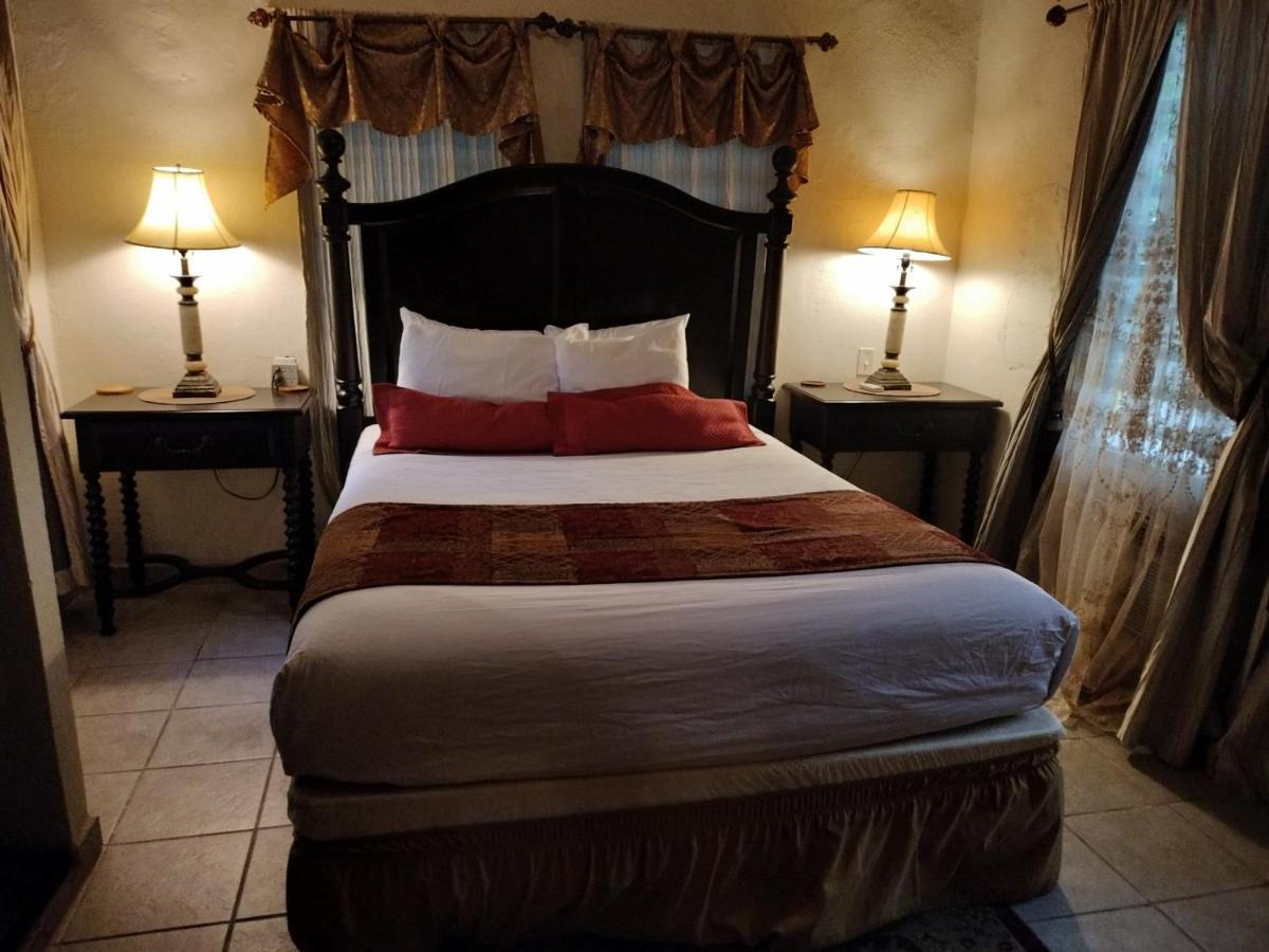 Casa De Tortuga Guesthouse Вьекес Номер фото